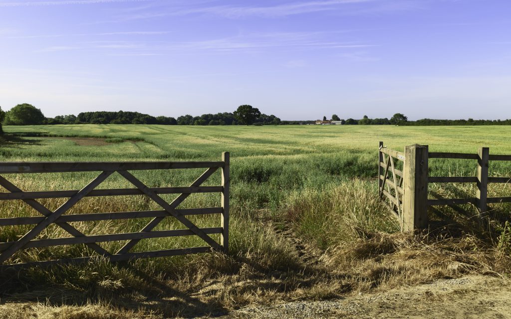 Staging Techniques for Rural Homes: Tips and Tricks